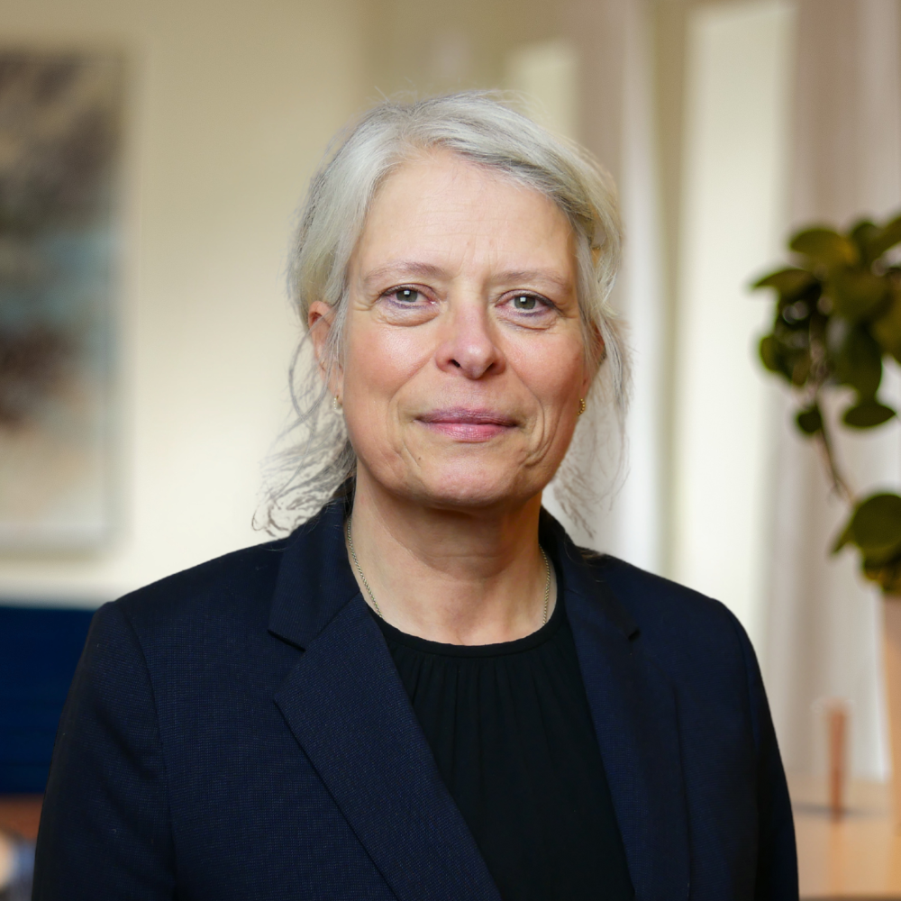 Hanne Munk Voss, Seniorkonsulent hos ballisager